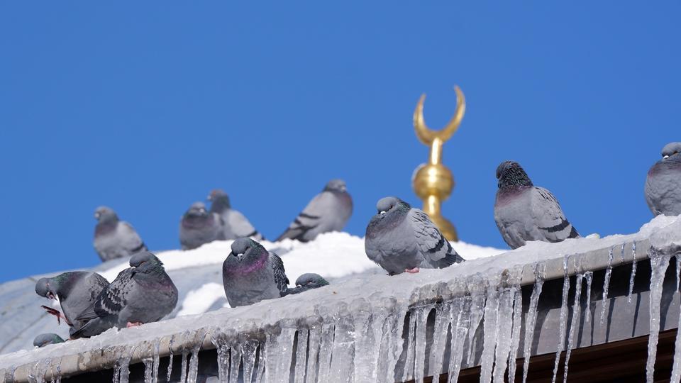 ERZURUM'DA TERMOMETRELER -18'İ GÖSTERDİ