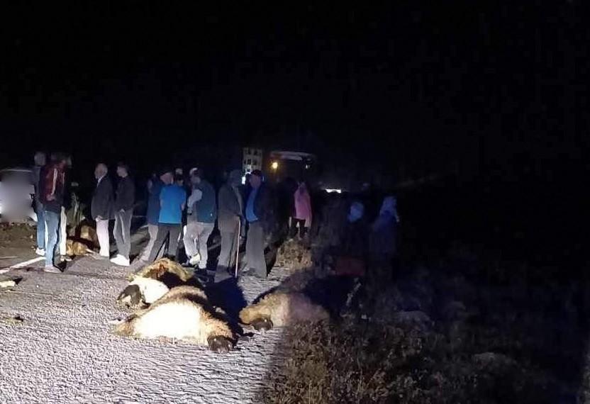 Otomobil koyun sürüsüne daldı