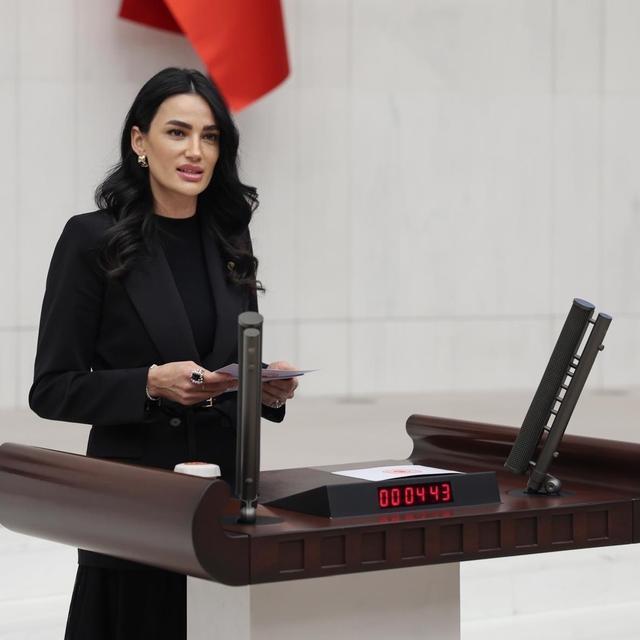 Aydın’da kültür-sanat coşkusu başlıyor: AK Partili Sarıbaş'tan vatandaşlara davet