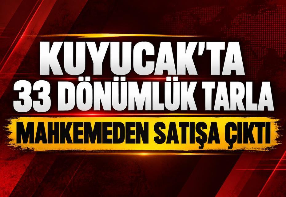 Kuyucak’ta 33 dönümlük tarla mahkemeden satışa çıktı