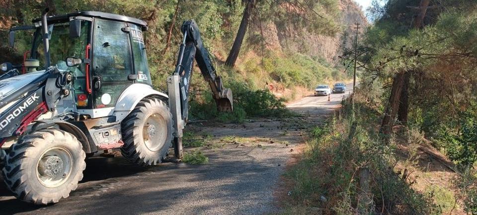 Devrilen ağaç yolu ulaşıma kapattı