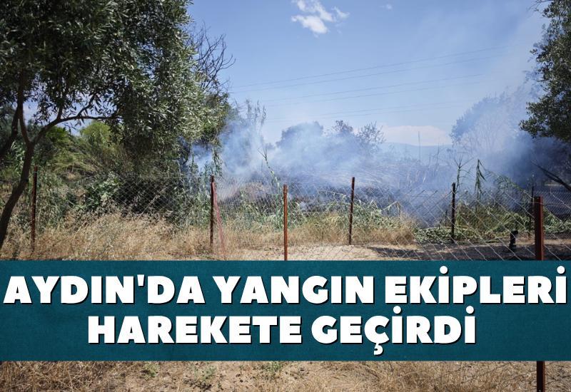 Aydın'da yangın ekipleri harekete geçirdi