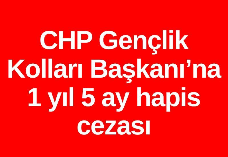 CHP Gençlik Kolları Başkanı’na 1 yıl 5 ay hapis cezası