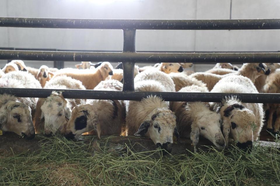 6 köy karantinaya alındı