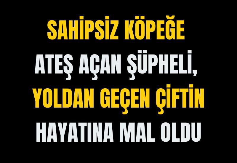 Sahipsiz Köpeğe Ateş Açan Şüpheli, Yoldan Geçen Çiftin Hayatına Mal Oldu