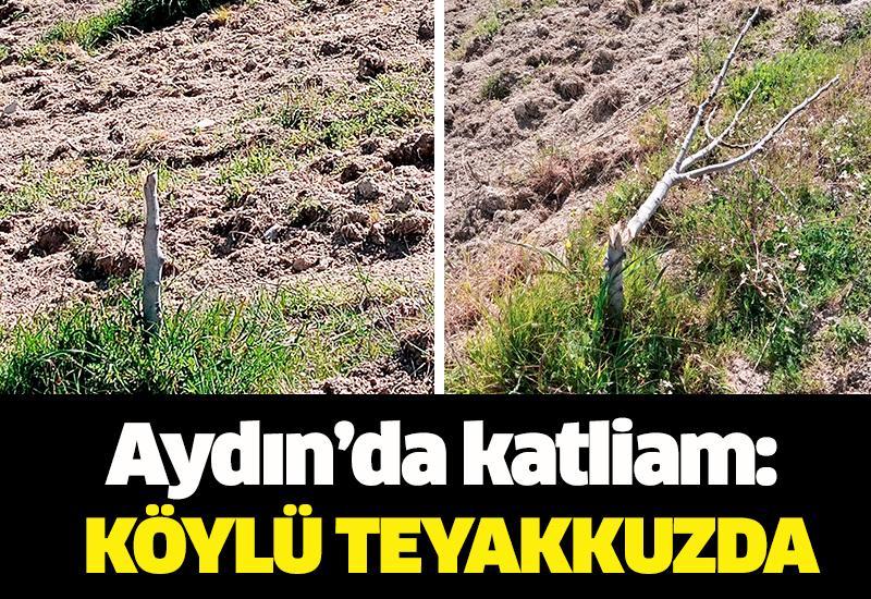 Aydın’da katliam: Köylü teyakkuzda