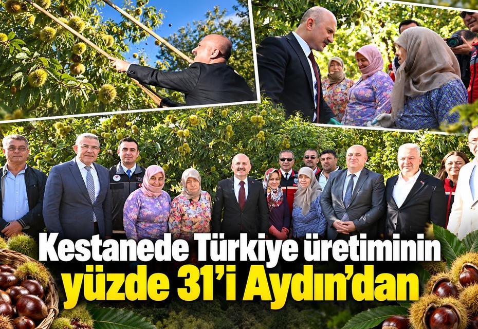 Kestanede Türkiye üretiminin yüzde 31’i Aydın’dan