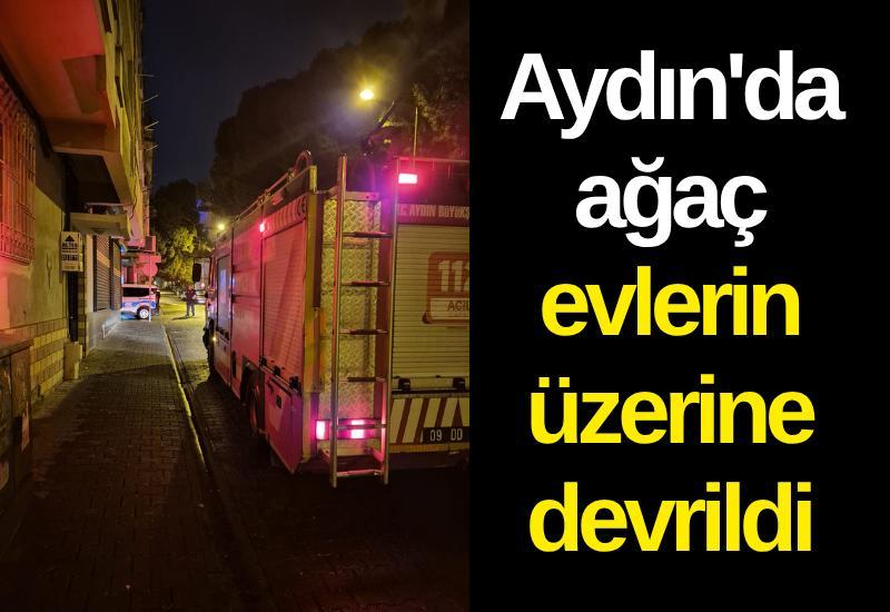 Aydın'da ağaç evlerin üzerine devrildi