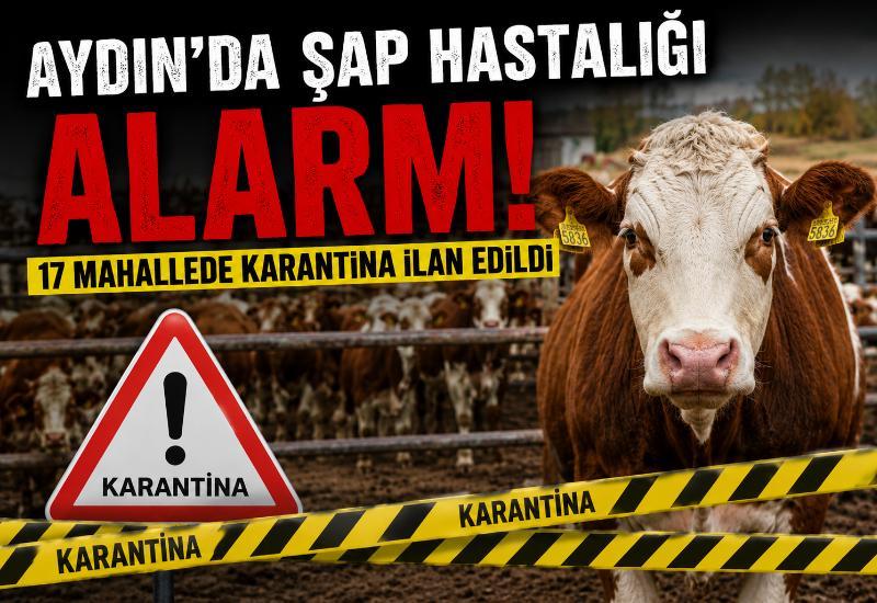 Aydın’da şap hastalığı alarmı: 17 mahallede karantina ilan edildi