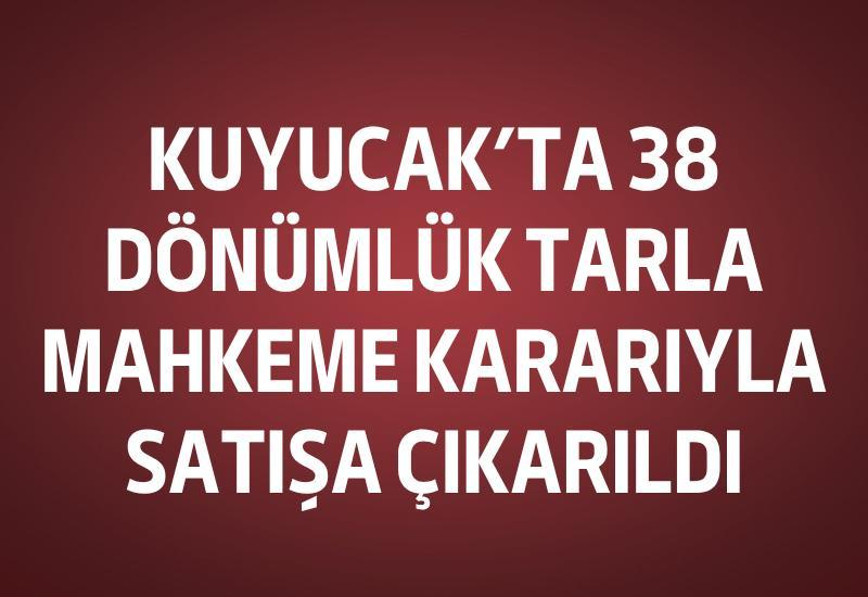 Kuyucak'ta 38 dönümlük tarla mahkeme kararıyla satışa çıkarıldı
