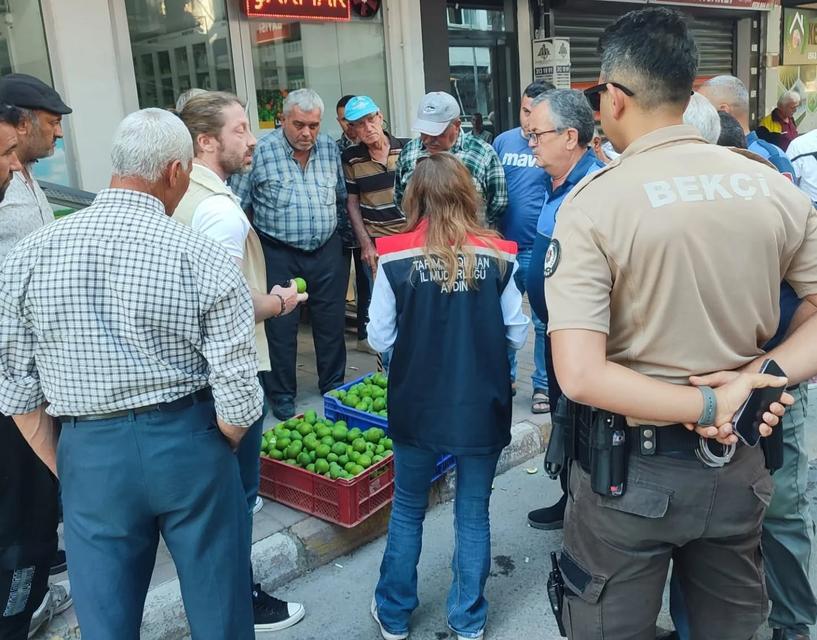 Aydın'da hastalıklı ilekler toplatıldı