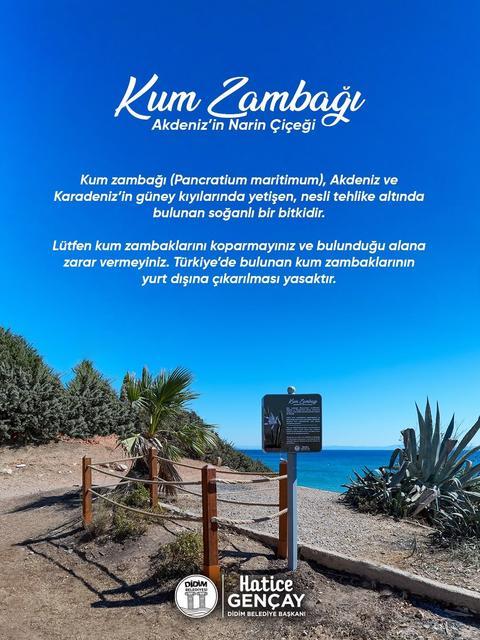 DİDİM BELEDİYESİ KUM ZAMBAĞI'NI KORUMA ALTINA ALDI