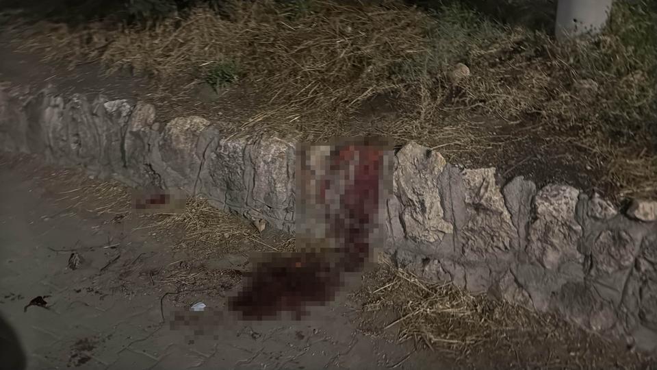 Bıçaklı kavgada 17 yaşındaki çocuk ağır yaralandı