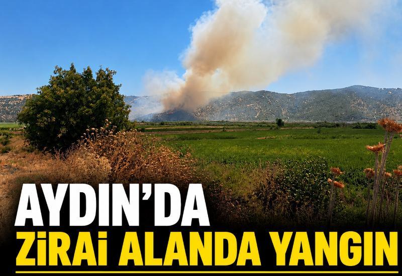 Aydın'da zirai alanda yangın