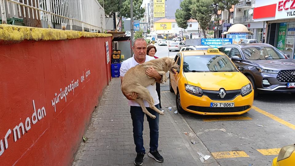 HAYVANSEVER TAKSİCİDEN ÖRNEK DAVRANIŞ HASTALANAN SOKAK KÖPEĞİNİ TAKSİSİNE ALIP VETERİNERE GÖTÜRDÜ