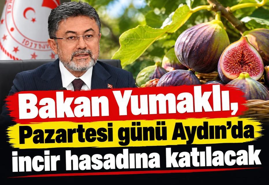 Bakan Yumaklı, Pazartesi günü Aydın'da incir hasadına katılacak