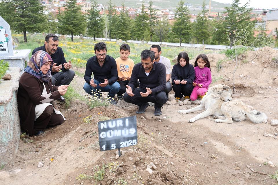 'GARİP'İN VEFASI: ÖLEN SAHİBİNİN MEZARINDAN AYRILMIYOR