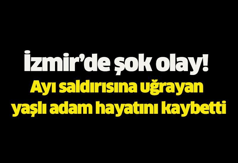 İzmir’de şok olay! Ayı saldırısına uğrayan yaşlı adam hayatını kaybetti