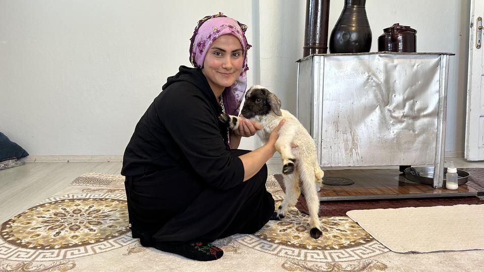 ANNESİZ KALAN KUZU AİLENİN 'UMUT'U OLDU ANNESİZ KUZUYU EV ORTAMINDA BEBEK ŞAMPUANIYLA YIKAYIP BİBERONLA BESLİYORLAR