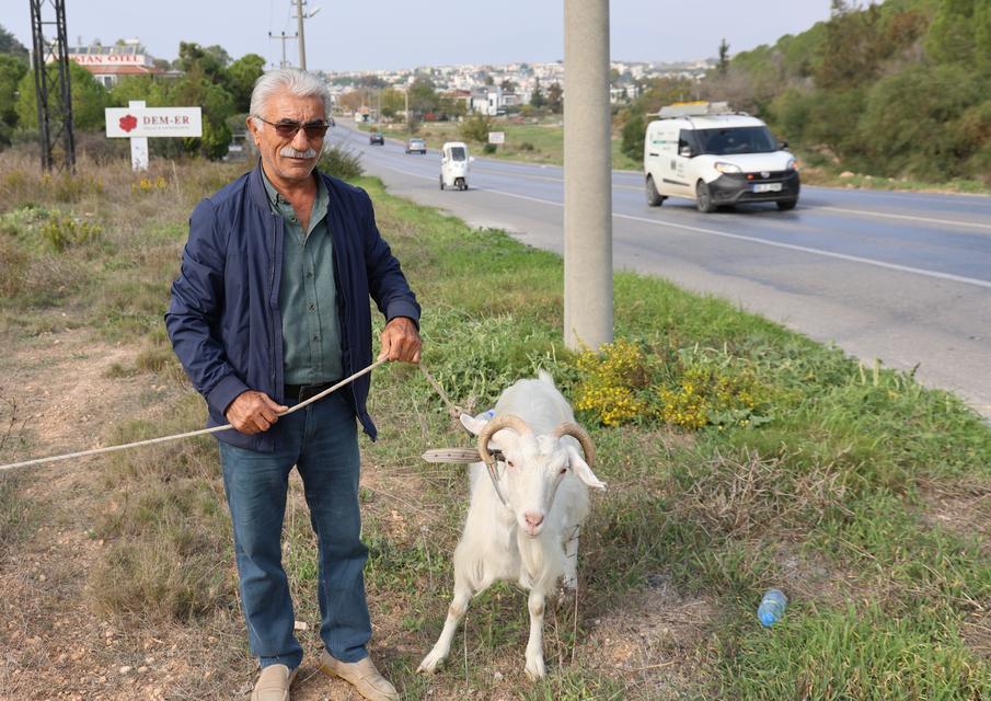 KEÇİLERİ İLE TATİL YAPIYOR