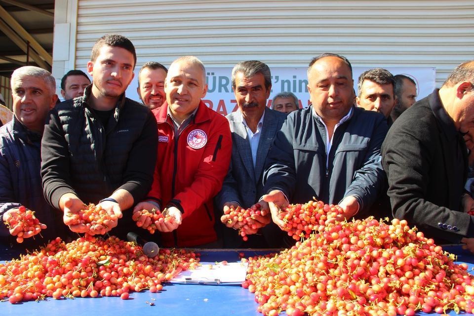 İLK KİRAZIN KİLOSU 3 BİN 500 TL'DEN SATILDI KUZEY YARIMKÜRENİN İLK KİRAZI MANİSA'DA HASAT EDİLDİ