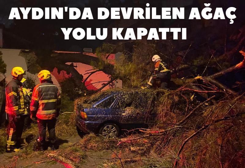Aydın'da devrilen ağaç yolu kapattı