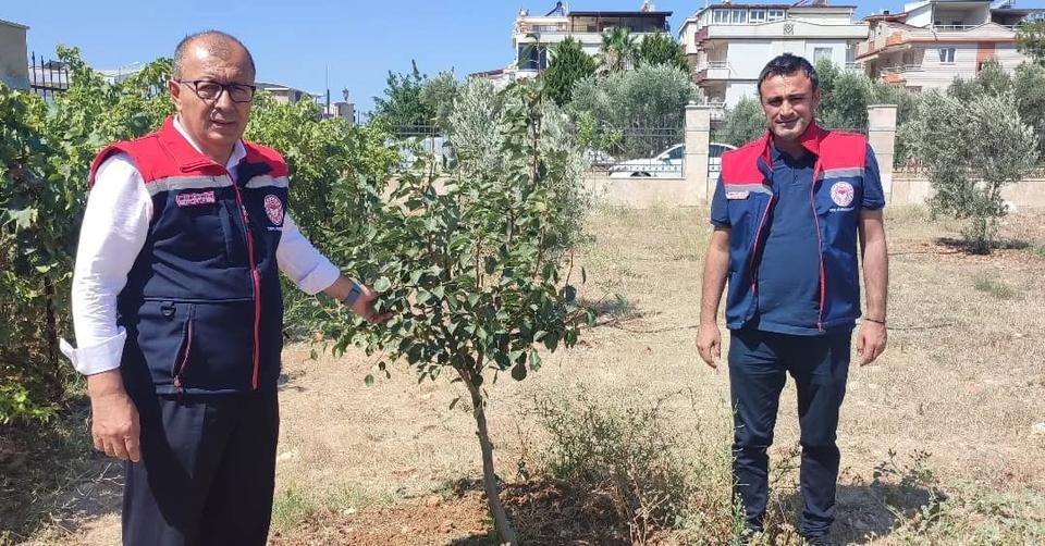 Aydın İl Tarım Müdürü sistemi inceledi