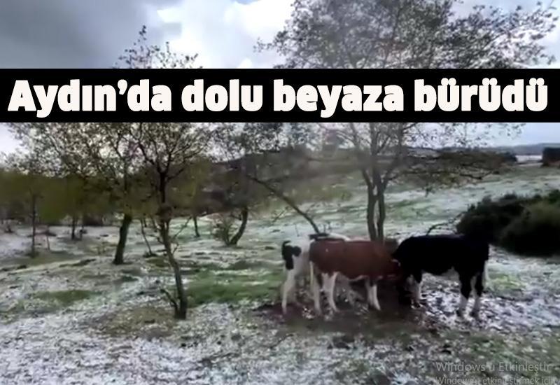 Aydın’da dolu beyaza bürüdü