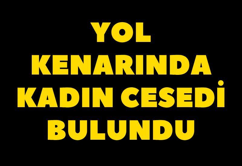 Yol kenarında kadın cesedi bulundu