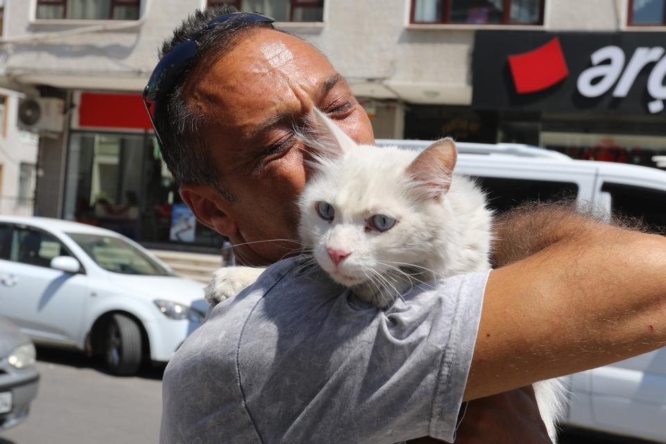 KAYIP KEDİSİNE GÜNLER SONRA KAVUŞTU, BU KEZ MUTLULUKTAN AĞLADI
