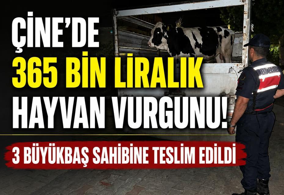 Çine’de 365 bin liralık hayvan vurgunu