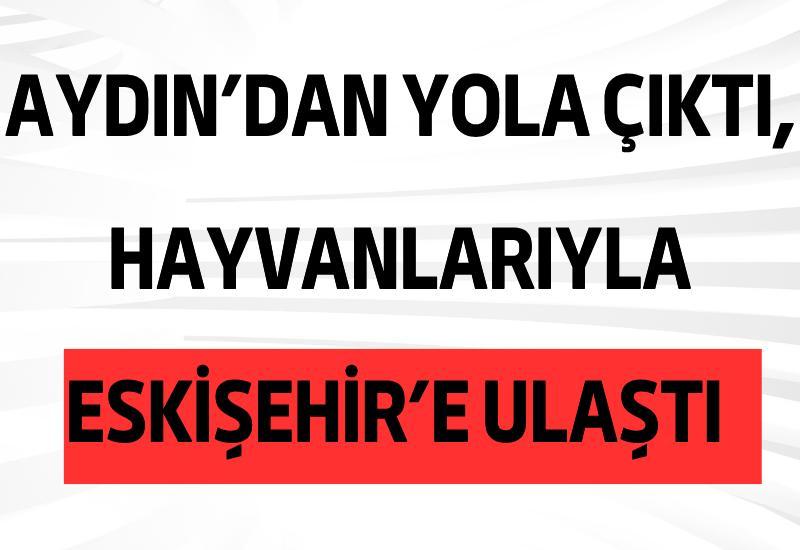 Aydın’dan yola çıktı, hayvanlarıyla Eskişehir’e ulaştı