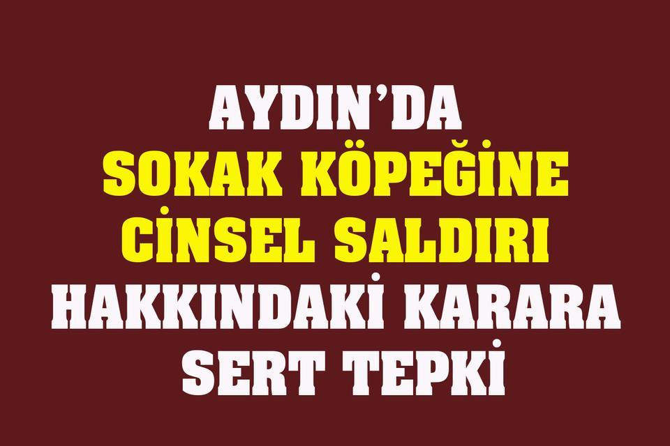 Aydın’da sokak köpeğine cinsel saldırıya sert tepki