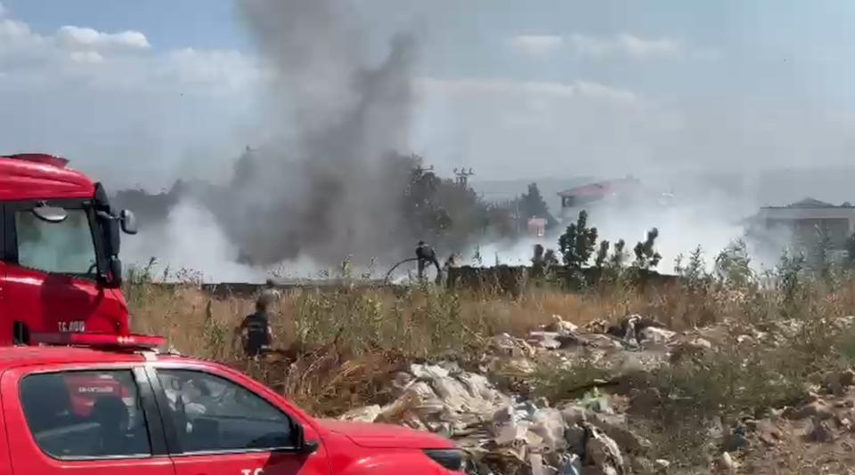 Aydın’da zeytinlik alanda yangın