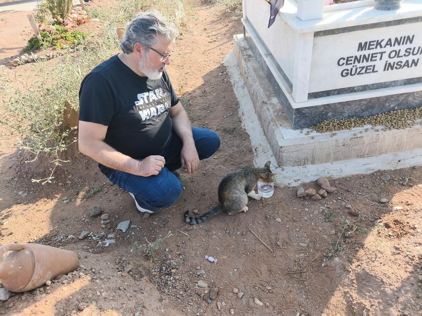 NANKÖR DEĞİL, ÇOK VEFALI ÇIKTI AYDIN'DA BİR KEDİ AYLARDIR ÖLEN SAHİBİNİN MEZARININ BAŞINDAN AYRILMIYOR