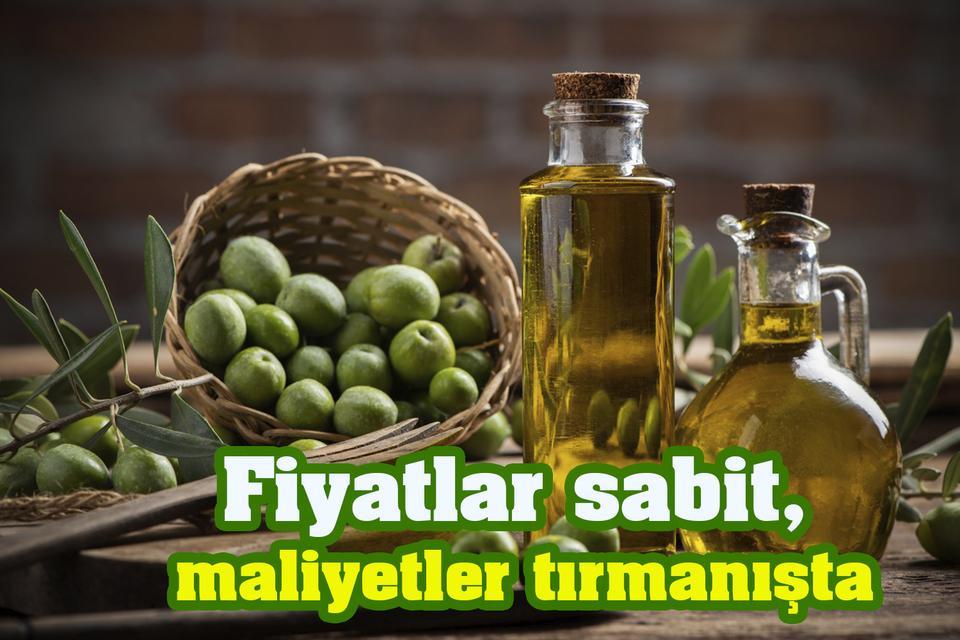 Aydın'ın tarım ürünlerinin fiyatı yerinde sayıyor