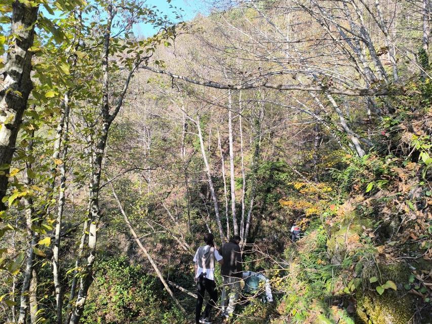 Kayıp annenin cesedini kuzgunu takip eden vatandaşlar bulmuş