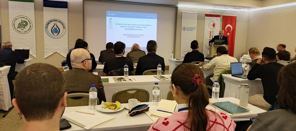 �������������������������������