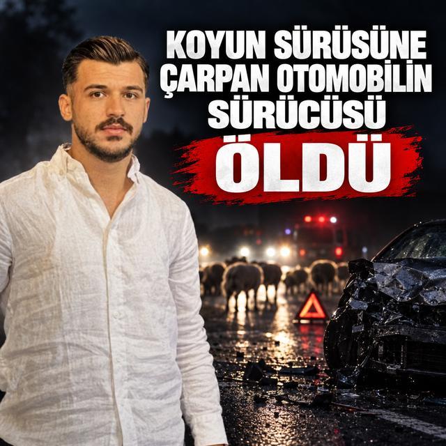 Koyun sürüsüne çarpan otomobilin sürücüsü öldü