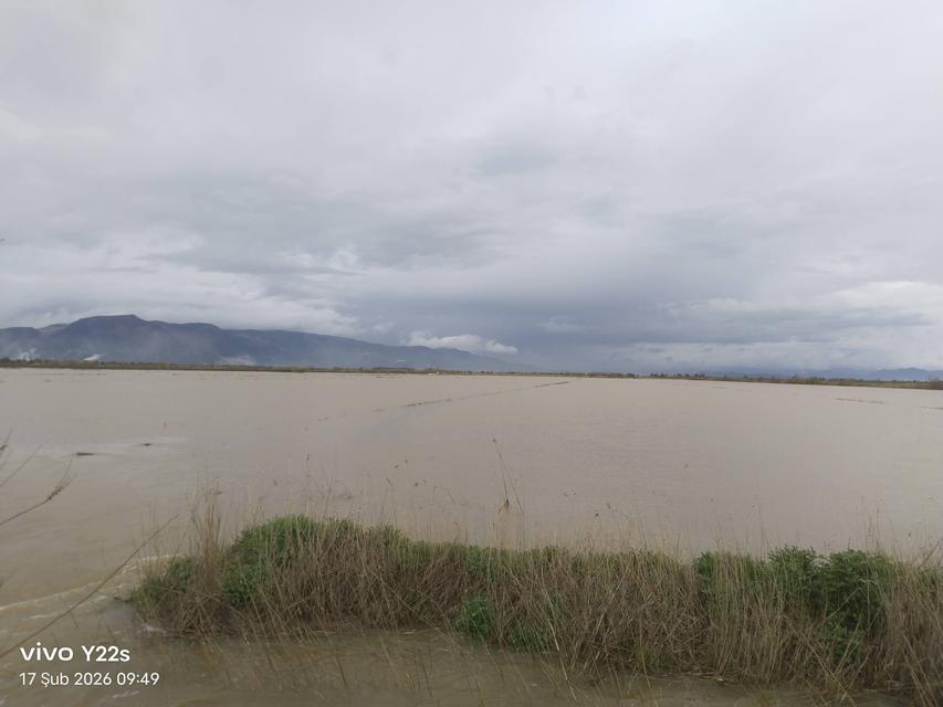 Büyük Menderes Taşkın Suları Burunköy Ovasına  Ulaştı