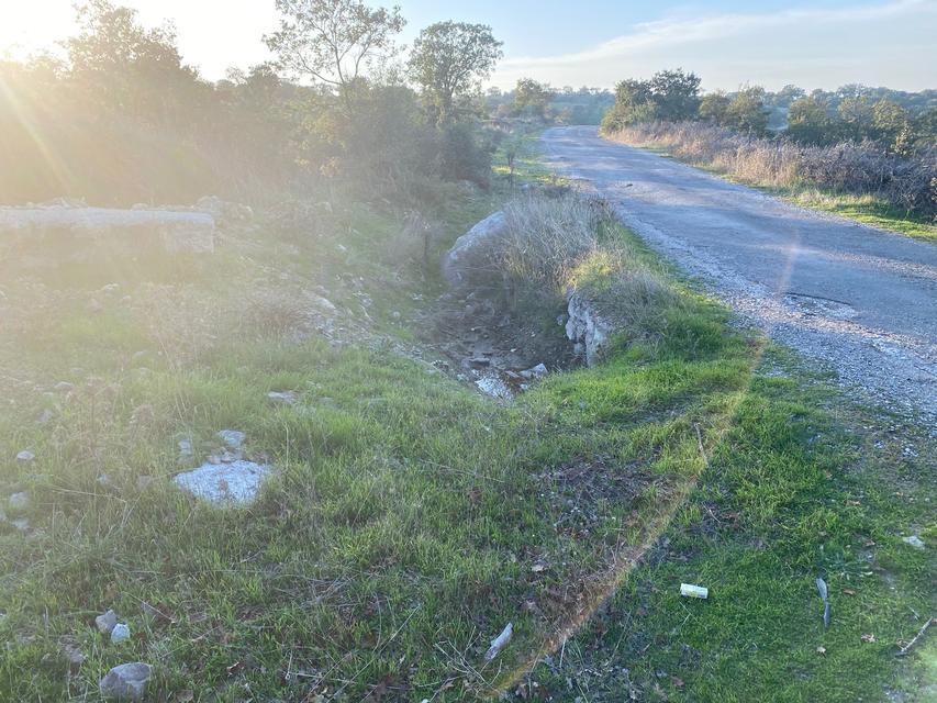 Boş arazide bebek cesedi bulundu