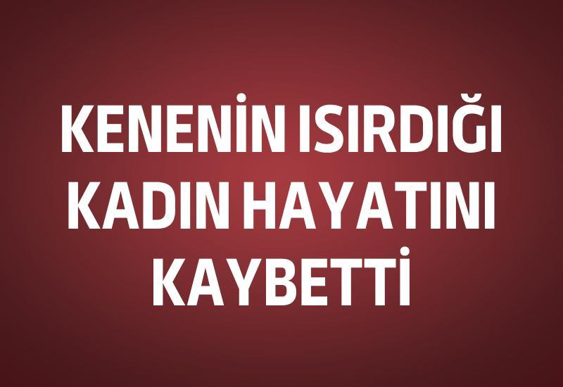 Kenenin ısırdığı kadın hayatını kaybetti