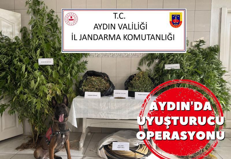 Aydın'da uyuşturucu operasyonu