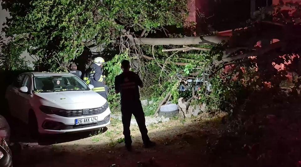 Aynı aileye ait 2 farklı araç devrilen ağacın altında kaldı