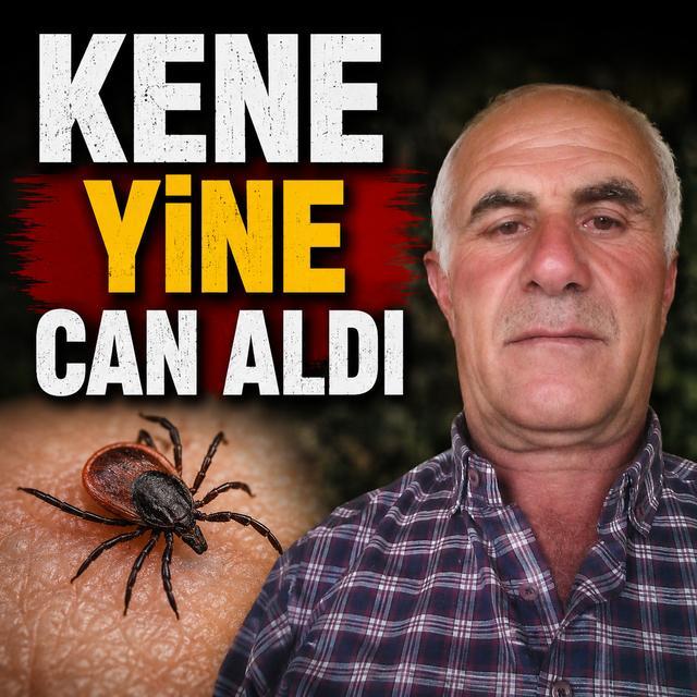 Kene yine can aldı