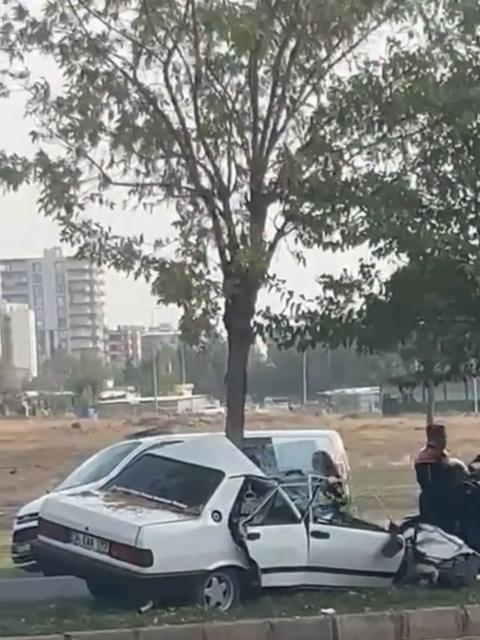 Otomobil ağaca ok gibi saplandı