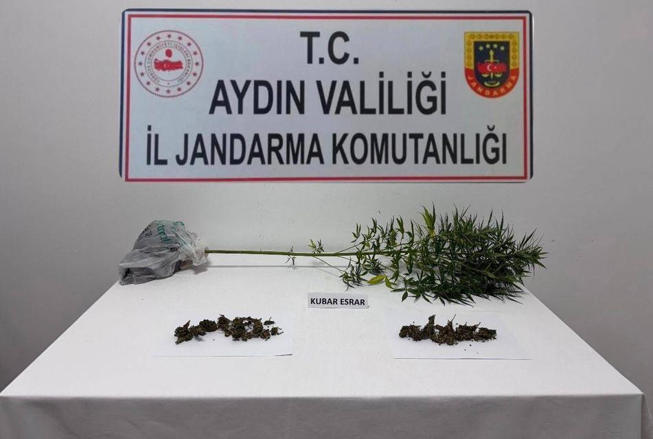 Aydın’da narkotik köpeği destekli arama: Evden kenevir ve esrar çıktı
