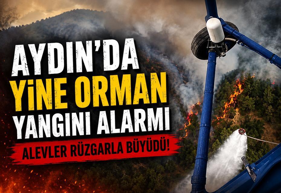 Aydın’da yine orman yangını alarmı