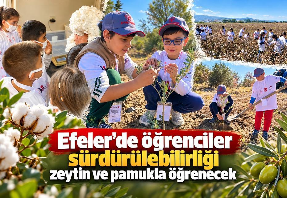 Efeler’de öğrenciler sürdürülebilirliği zeytin ve pamukla öğrenecek