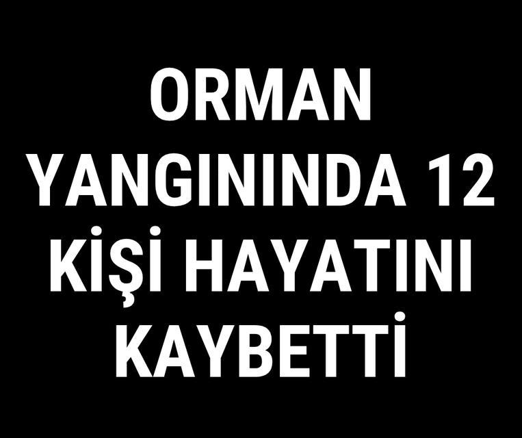 Orman yangınında 12 kişi hayatını kaybetti